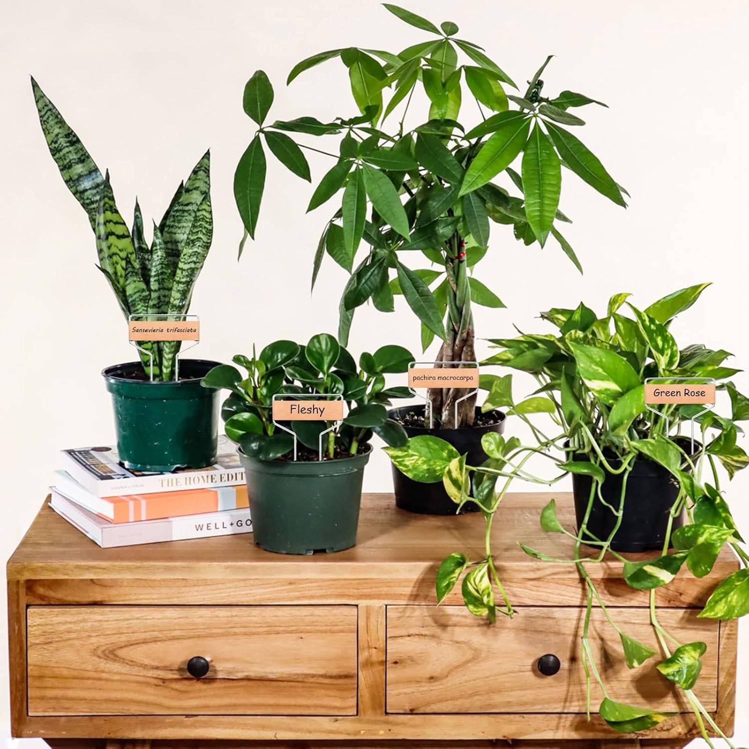 50 PCS Metal Plant Labels Plant Tags 4 Inch Plant Markers For Garden Waterproof Copper Plant Tags Outdoor Garden Label Stakes Reusable Nursery Tags Garden Plant Copper Label For Seedlings-VerdiqueGarden