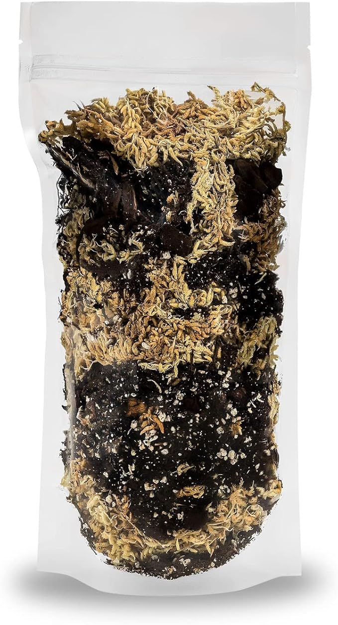 Premium Orchid Mix by GARDENERA | Fern + New Zealand Pine Bark + Sphagnum Moss + Perlite | Best for Growing and Repotting Orchids - 3 Quart Bag-VerdiqueGarden