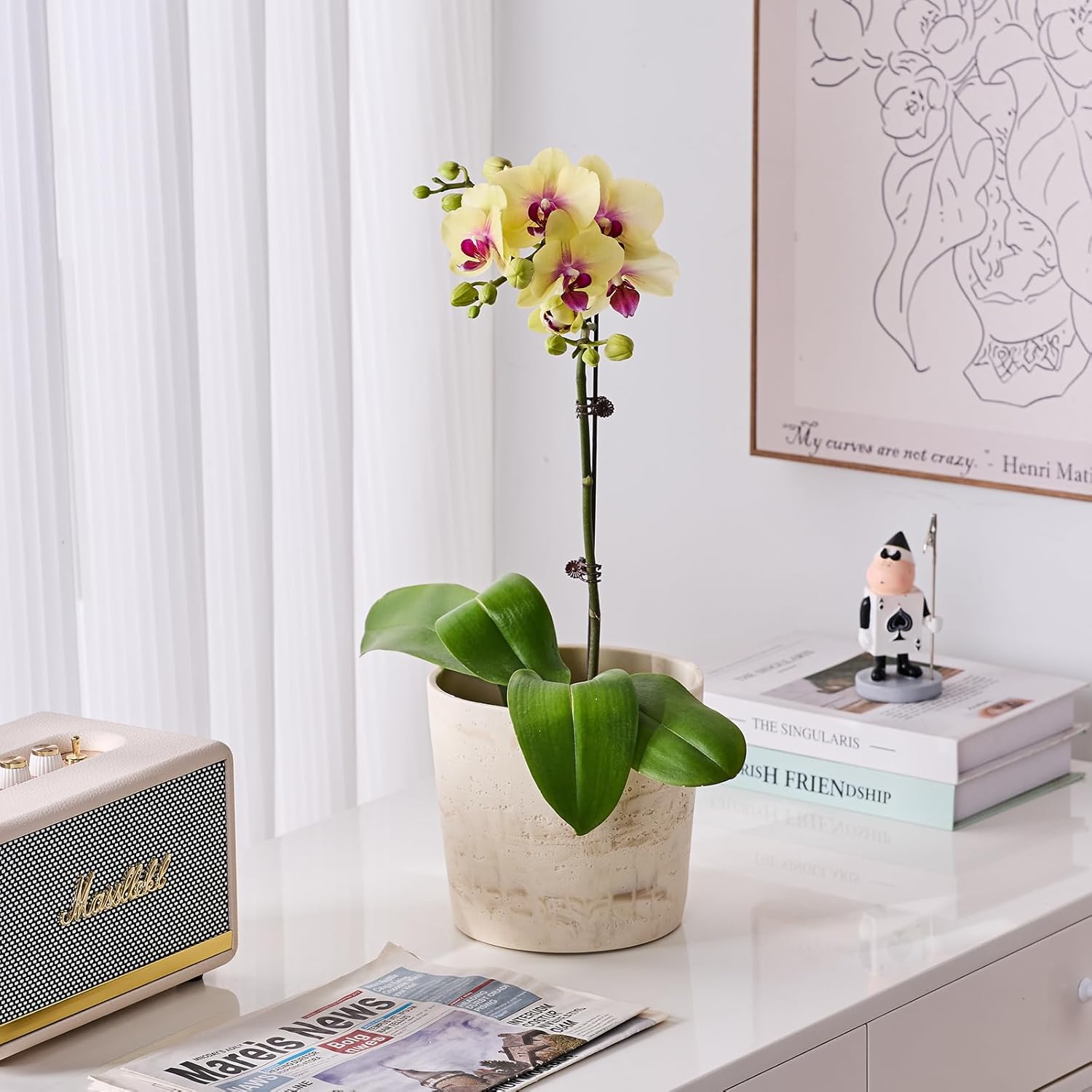 Ekirlin 7 Inch Natural Travertine Textures Plant Pot, Resin Outdoor Planter with Drainage Hole, Removable Rubber Stopper and Non-Slip Soft Pad,Weatherproof Decorative Pot for Indoor/Garden Plants-VerdiqueGarden