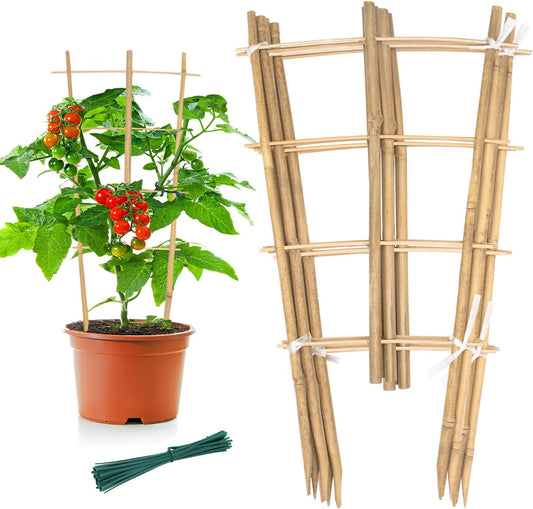 Garden Bamboo Trellis 16 Inch Fan Shaped Small Plant Trellis,Natural Wood Trellis for Climbing Plants Orchid Monstera Indoor Potted Plants-3 Pack-VerdiqueGarden