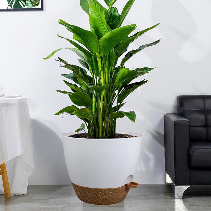 12 inch Large Self Watering Pots, Plastic Planters with 60oZ Removable Deep Reservoir and Multi Mesh Drainage Holes for Indoor Outdoor Garden Plants and Flowers, White with Brown-VerdiqueGarden