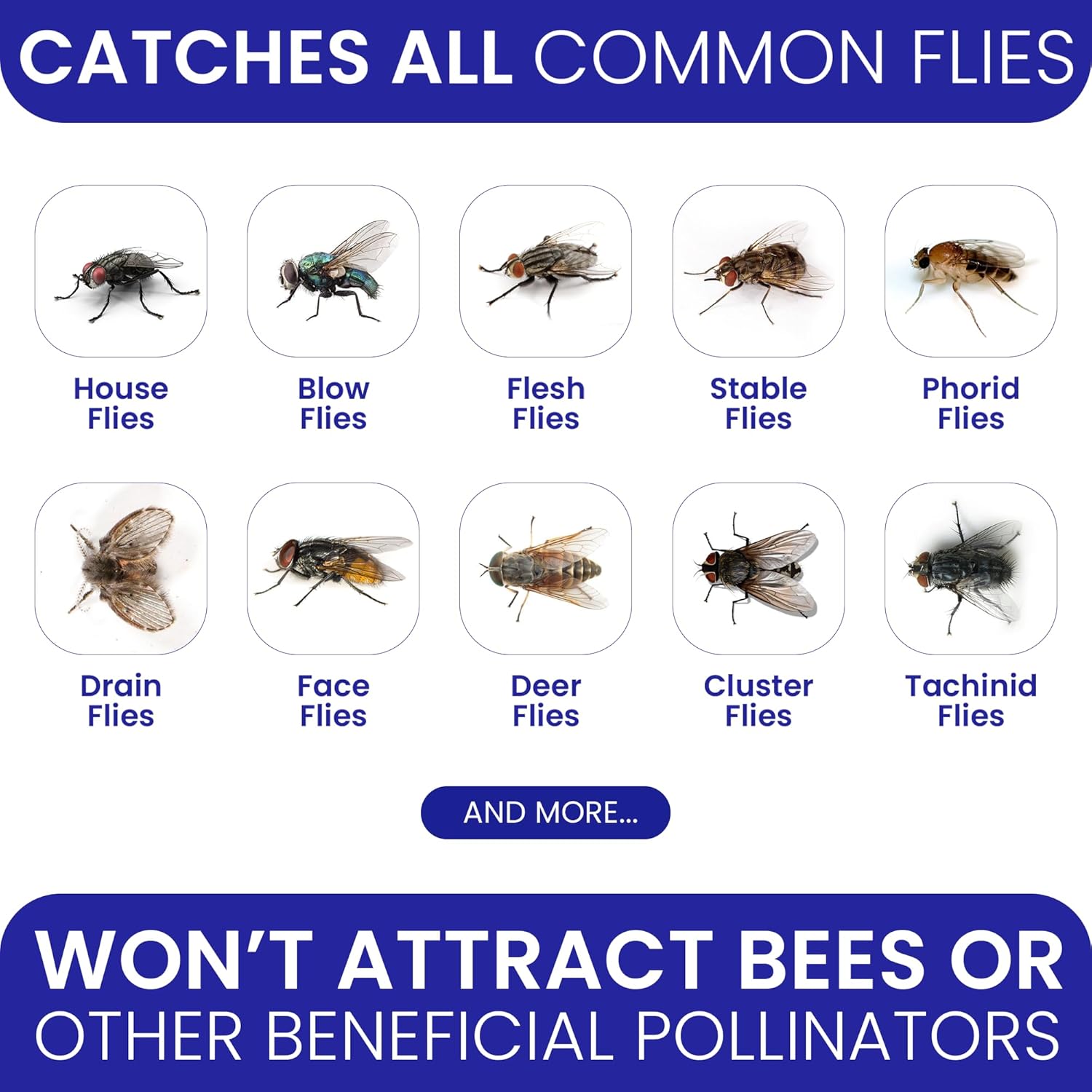 Fly Traps Outdoor Fly Trap for Patio. 4 Non-Toxic Pre-Baited Flies Bags Outdoor Disposable. Hanging Bug Catchers for All Filth Flies Killer for Outside Bug Control in Yard Horse Ranch Trash Can-VerdiqueGarden