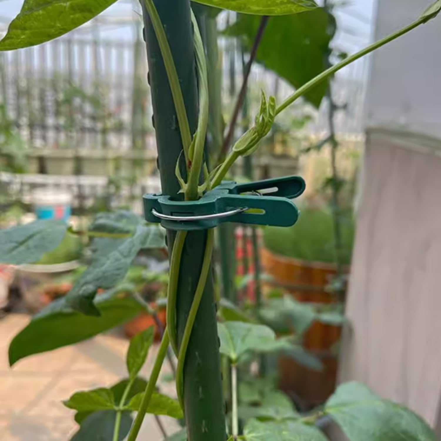 40Pcs Plant Clip Garden Clip Plant 2 Size Reusable Tomato Clip,Multi-Purpose Plant Rattan Clip Rose,Sturdy Cucumber Orchid Clip Plant Support Adjustable Clip Green (20 Large + 20 Small)-VerdiqueGarden