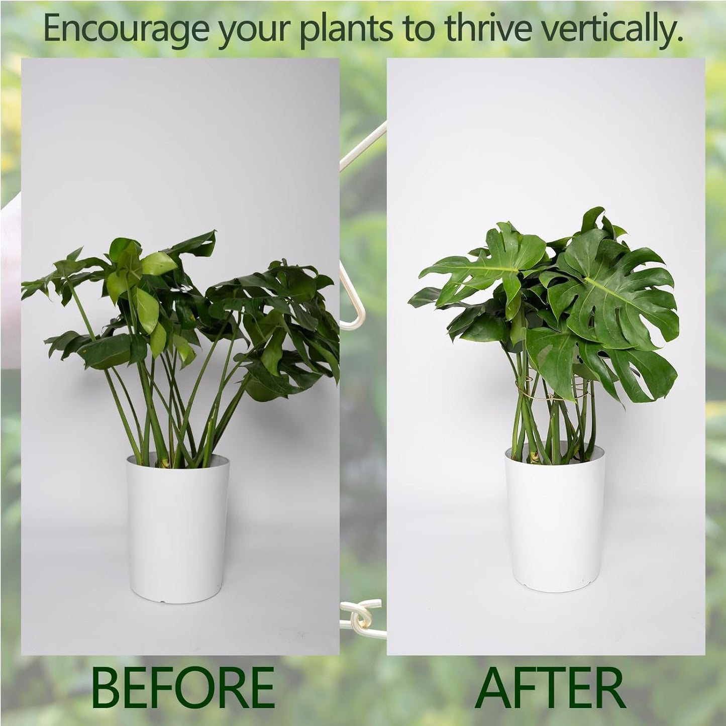 5PCS Durable Monstera Plant Stem Support Stake with Adjustable Leaf Holders - Plant Support Kit for Indoor Botanicals, Cactus Stabilizers, and Turtle Shell Climbers - Ideal for Plant Enthusiasts-VerdiqueGarden