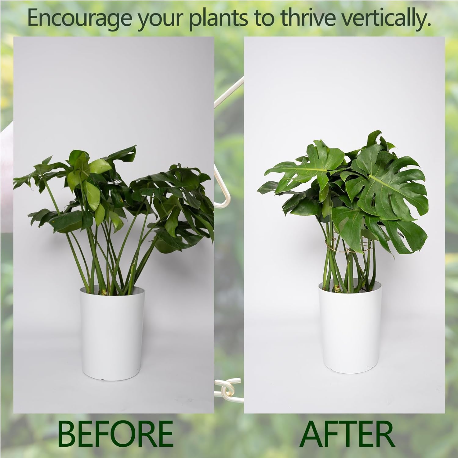 5PCS Durable Monstera Plant Stem Support Stake with Adjustable Leaf Holders - Plant Support Kit for Indoor Botanicals, Cactus Stabilizers, and Turtle Shell Climbers - Ideal for Plant Enthusiasts-VerdiqueGarden