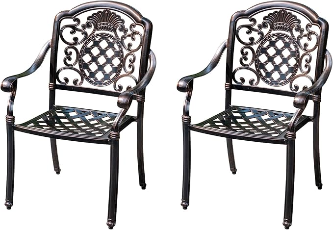 Outdoor Dining Chair Cast Aluminum Patio Chairs Set of 2 All-Weather Patio Dining Chair with Adjustable Feet for Backyard Garden (JL Chair)-VerdiqueGarden