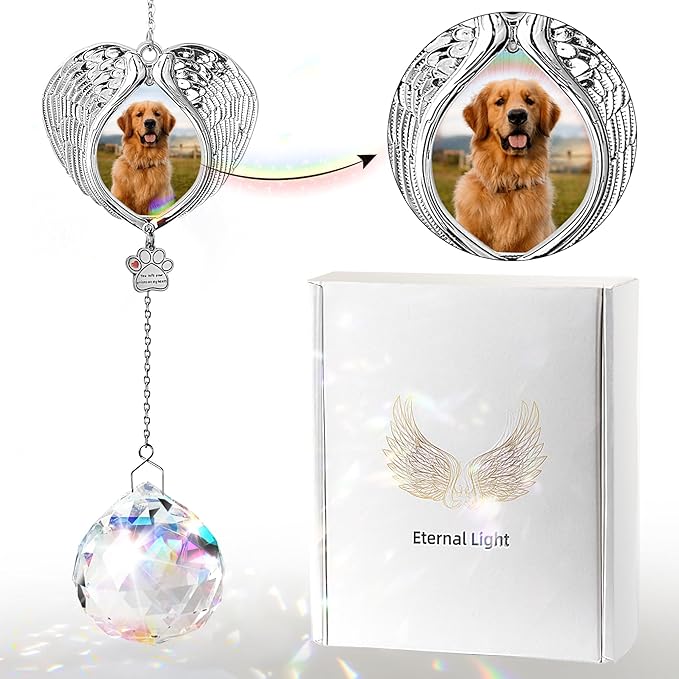 Pet Memorial Suncatcher - Dog Memorial Gifts for Loss of Dog, Christmas Pet Paw Print Photo Ornament, Pet Sympathy Gift, Bereavement Gift Ideas for Dog or Cat Passing Away, Remembrance, Silver Metal-VerdiqueGarden