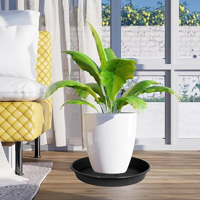 1 Pack of Plant Saucer Tray 8 inch, Heavy Duty Plastic Pot Plant Drip Trays Saucers for for Indoors Outdoor, Plant Water Tray for Planters (8", Black)-VerdiqueGarden