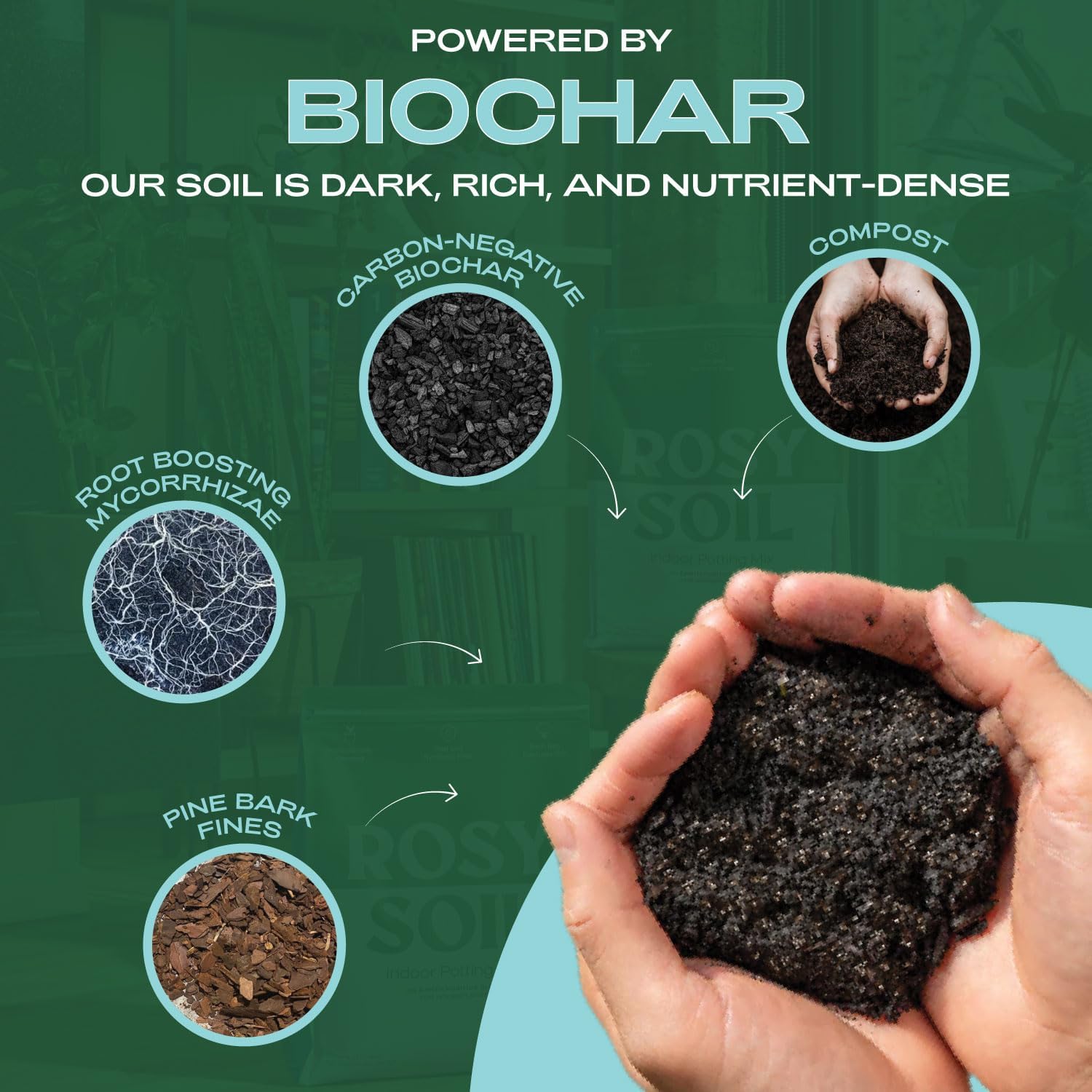 Rosy Soil Indoor Potting Soil for House Plants - Organic Potting Soil Mix for Indoor Plants - Enriched w/Root-Boosting Biochar for Foliage Plants, Flowers, Herbs - Peat Free, Less Prone to Gnats - 4qt-VerdiqueGarden