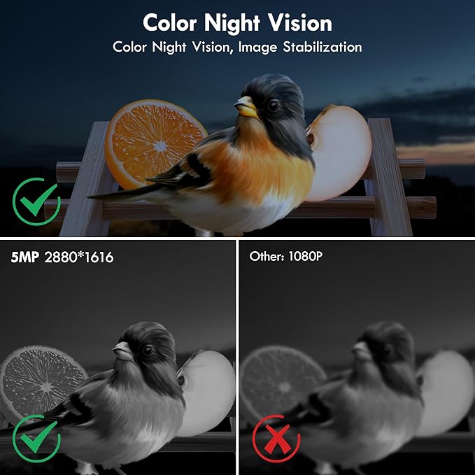 Bird Feeder, 5MP Solar-Powered Smart Bird Feeder with Camera, AI Identifies Birds 10000+, 2.4GHz, Color Night Vision, Instant Notification, Easy to Use, 1.5L Birds Feeders for Outdoor, Yard-VerdiqueGarden