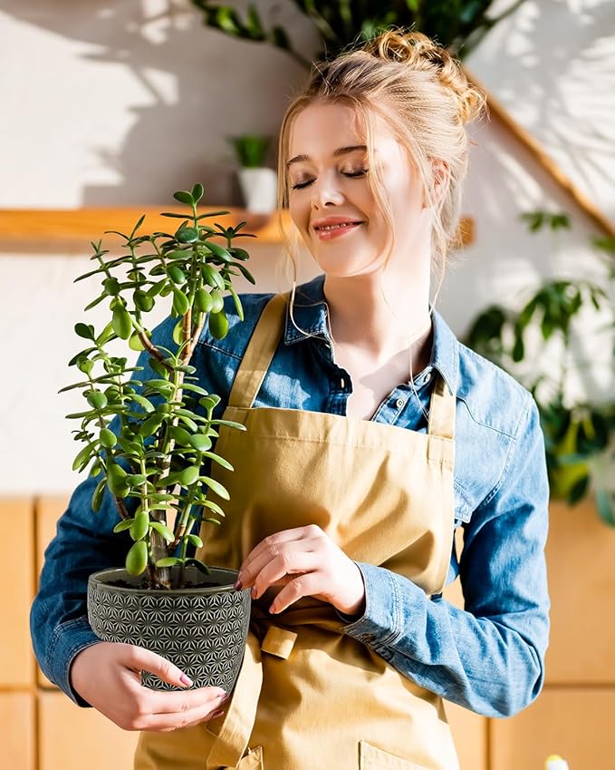 Plant Pots, Flower Pots, Planters for Indoor Plants(6.5+5.5inch), Flower Pots for Indoor Plants with Drainage Hole and Saucer, Ceramic Pots for Plants with Hole Mesh Pad,Reactive Glaze Green-VerdiqueGarden