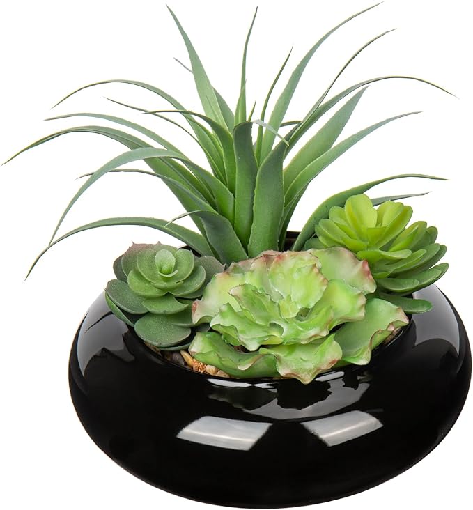 Large Artificial Succulents Plants Faux Succulents in Pots Fake Succulent Arrangement Potted Plants with Black Ceramic Pot for Office Desk Bathroom Shelf Living Room Indoor & Outdoor Home Decor-VerdiqueGarden