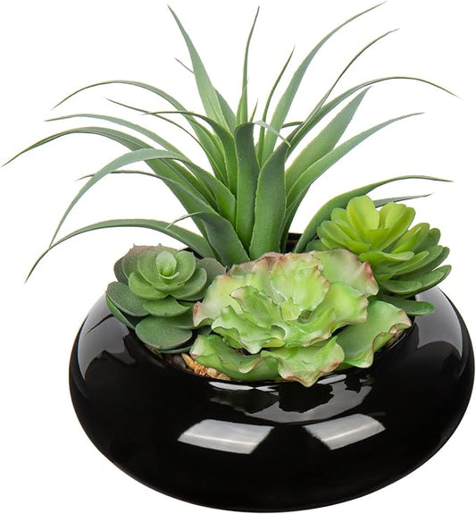 Large Artificial Succulents Plants Faux Succulents in Pots Fake Succulent Arrangement Potted Plants with Black Ceramic Pot for Office Desk Bathroom Shelf Living Room Indoor & Outdoor Home Decor-VerdiqueGarden