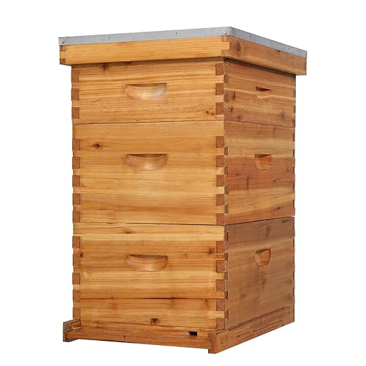VINGLI 10-Frame Bee Hive, Wax Coated Beehive Starter Kit with Frames & Beeswax Coated Foundation Sheets (3 Layer)-VerdiqueGarden