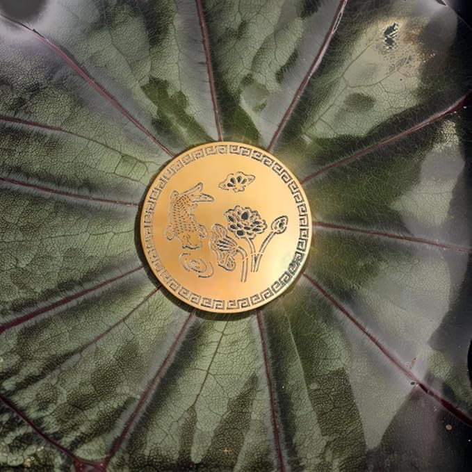 Copper Bird Bath Purification Disk, Water Wiggler for Bird Bath, Bird Bath Copper Disk, 1mm Reinforced 99% Pure Copper Cleaning Disk, Universal Fit for Outdoor Birdbaths, 4 Inch in Diameter (A)-VerdiqueGarden