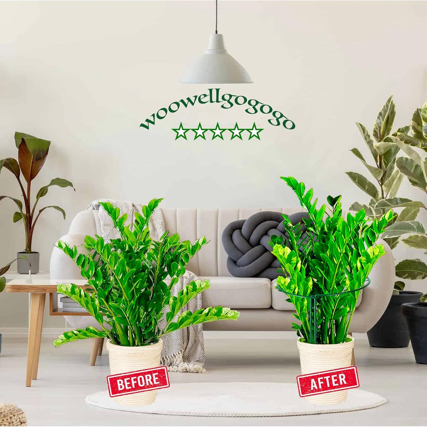 Half Round Snake Plant Support Stakes, Plant Ring for Peonies, Hydrangeas, and More - Sturdy, Rust-Proof Plant Supports for Indoor and Outdoor Potted Plants (6 Pack, 14x8Inch)-VerdiqueGarden