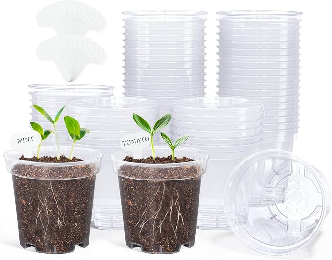 homenote Clear Nursery Pots for Plants,3 Inch Plant Pot for Planting Plastic Seedling with Drainage Holes Seed Starter Flower High Transparency with 20 Labels (60 Pack)-VerdiqueGarden