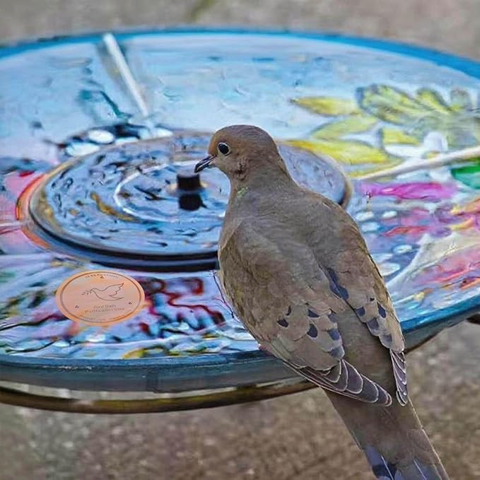 3Pack Bird Bath Copper Purification Disk | 0.6mm Reinforced 99.9% Pure Copper | Universal Fit for Outdoor Birdbaths(Birdbath Copper 3 Pack)-VerdiqueGarden