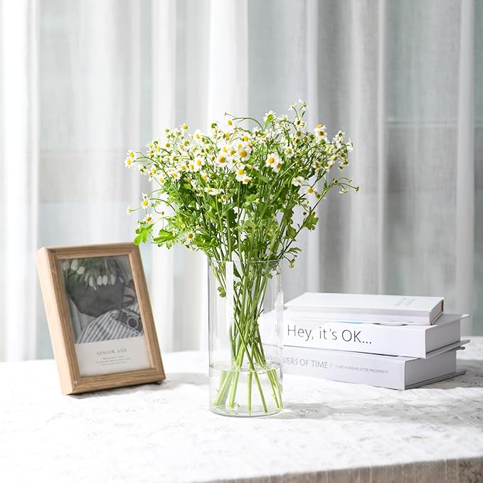 Clear Flower Vase, Non-breakable Vases, 6" W x 16" H, Acrylic Vase, Aesthetic Room Decor Cylindrical Modern Flower Vases for Table Centerpiece, Home Decor, Women Floral Arrangement Gift-VerdiqueGarden