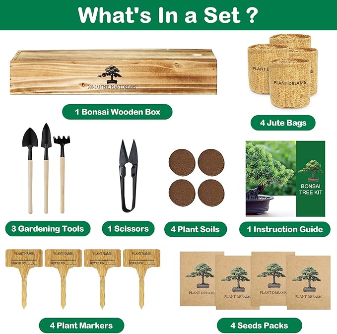 Bonsai Tree Kit, Bonsai Starter Kit for Growing Bonsai Plants with Tools, Grow Bonsai Tree Live Indoor, Garden Crafts Hobby Kits, Unique DIY Gardening Gifts for Men Women Mother-VerdiqueGarden
