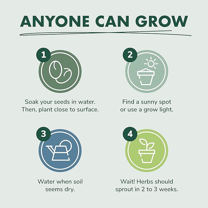 Indoor Herb Garden Seed Starter Kit - Herbal Tea Growing Kits, Grow Medicinal Herbs Indoors, Seeds for Planting, Soil, Plant Markers, Pots, Infuser, Planter Box, Gardening Gifts for Women-VerdiqueGarden
