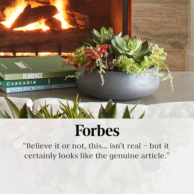 Faux Succulent Arrangement, Premium Artificial Indoor Plant Enhances Interior Design, Display on Any Surface in Your Home Adding an Inviting Touch of Nature, Grey Planter Pot Included-VerdiqueGarden