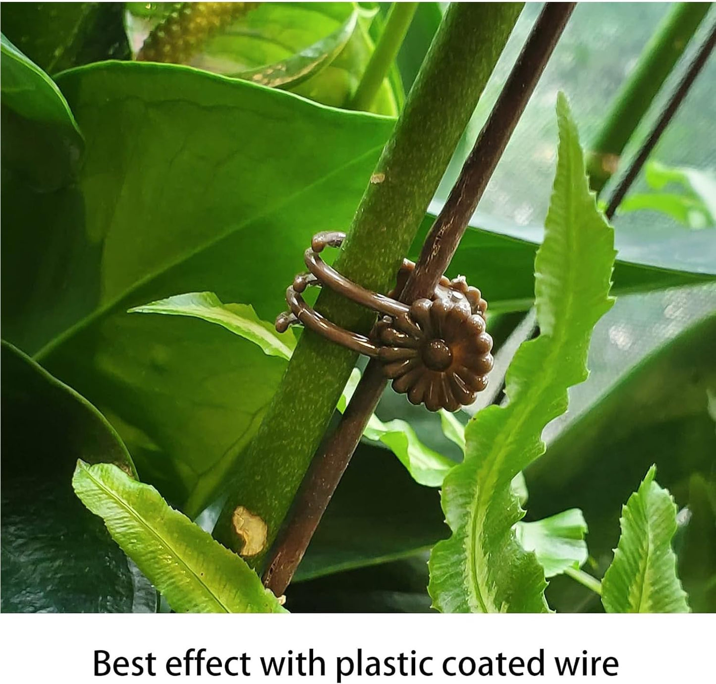 Plant Support Clips Reusable Garden Clips,100Pcs Medium Plant Clips,Tomato Support Clips,for Climbing Plants,Outdoor,Indoor Plants,Flowers,Stems,Vines Holding Clips (Brown)-VerdiqueGarden