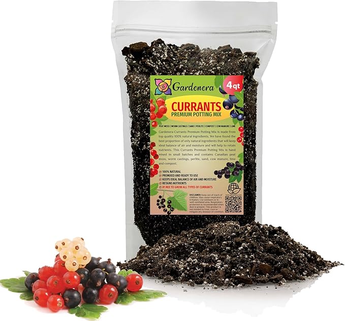 Premium Currant Plant Potting Soil Mix - Optimal Nutrient-Rich Blend for Thriving and Juicy Currants - 4 Quart-VerdiqueGarden