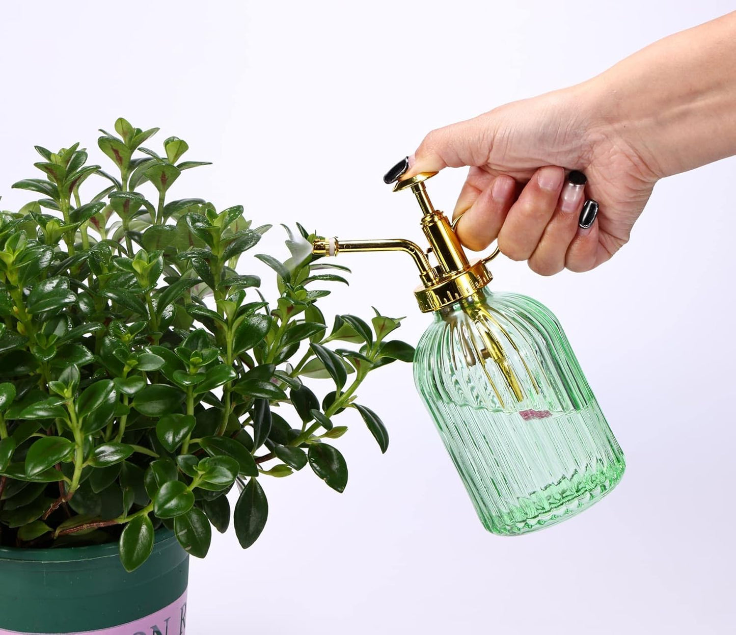 Glass Plant Mister Spray Bottle, 7.5" Green Glass Water Spray Bottle with Gold Top Pump Small Watering Can, Small Plant Sprayer Mister for Indoor Outdoor House,(Green+Gold E)-VerdiqueGarden