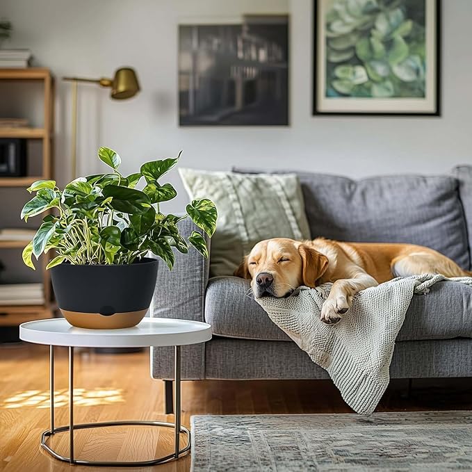 10 Inch Pots for Indoor Plants, Large Self Watering Planters with Drainage and Saucers, Plastic Outdoor Flower Pot, Set of 2, Grey-VerdiqueGarden