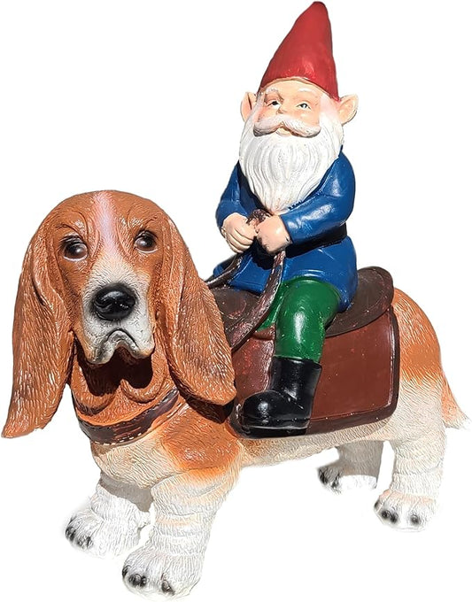 Funny Guy Mugs Gnome Riding A Basset Hound - Funny Garden Gnomes Gifts for Women - Garden Gnomes for Outdoors - Gifts for Dog Lovers - Indoor/Outdoor Garden Gnome Sculpture for Patio, Yard or Lawn-VerdiqueGarden