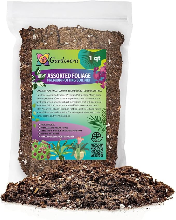 Premium Assorted Foliage Potting Mix - Expertly Crafted Blend for Optimal Growth and Vibrant Display - 1 Quart-VerdiqueGarden