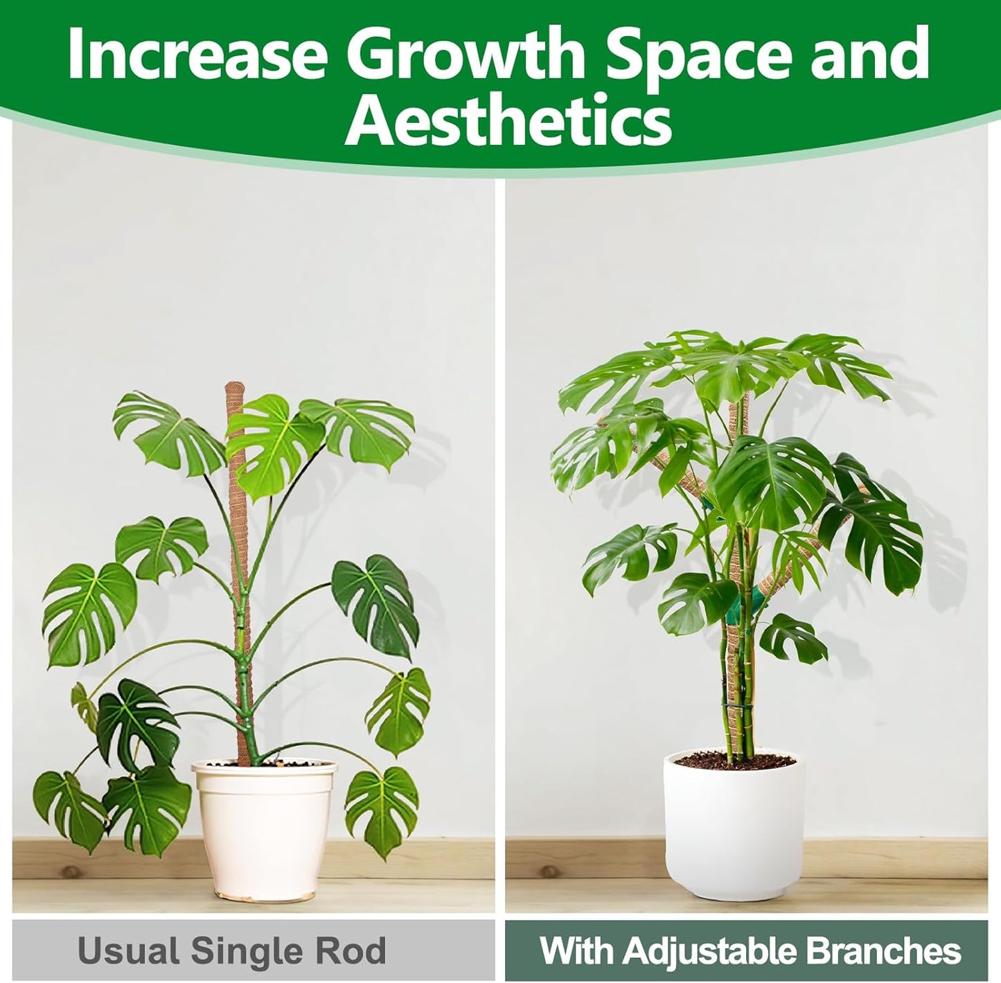 Moss Pole 30 Inch, 2 Pack Monstera Plant Support, Bendable Plant Stakes for Indoor Plants, Plant Sticks Support Tall，Coco Coir Plant Poles for Climbing Plants, Pothos, Philodendron-VerdiqueGarden