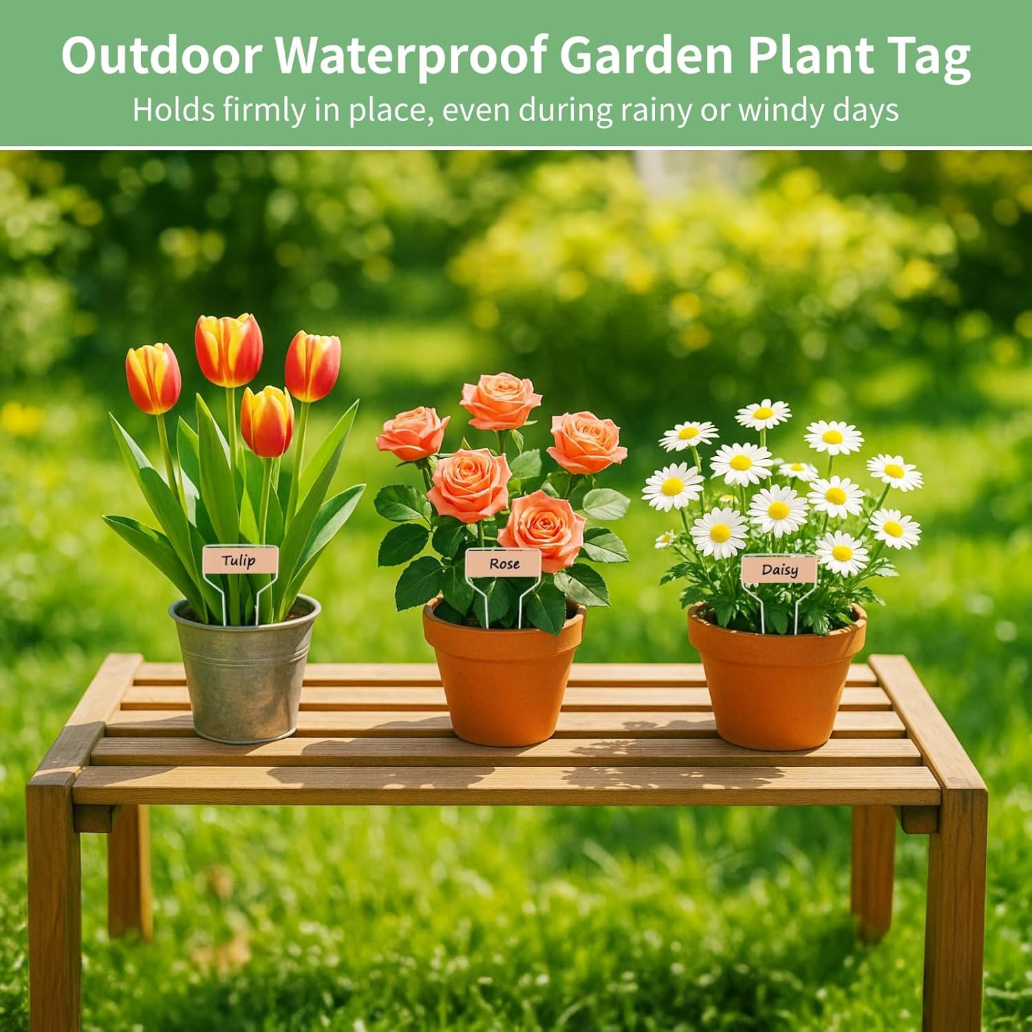 80 PCS Metal Garden Tags Plant Labels for Garden Waterproof Plant Markers with 2 Permanent Pen, High Copper Plate Plant Labels,Coppers Plant Tags for Flowers, Vegetables, Seedlings, Seed (80PCS)-VerdiqueGarden