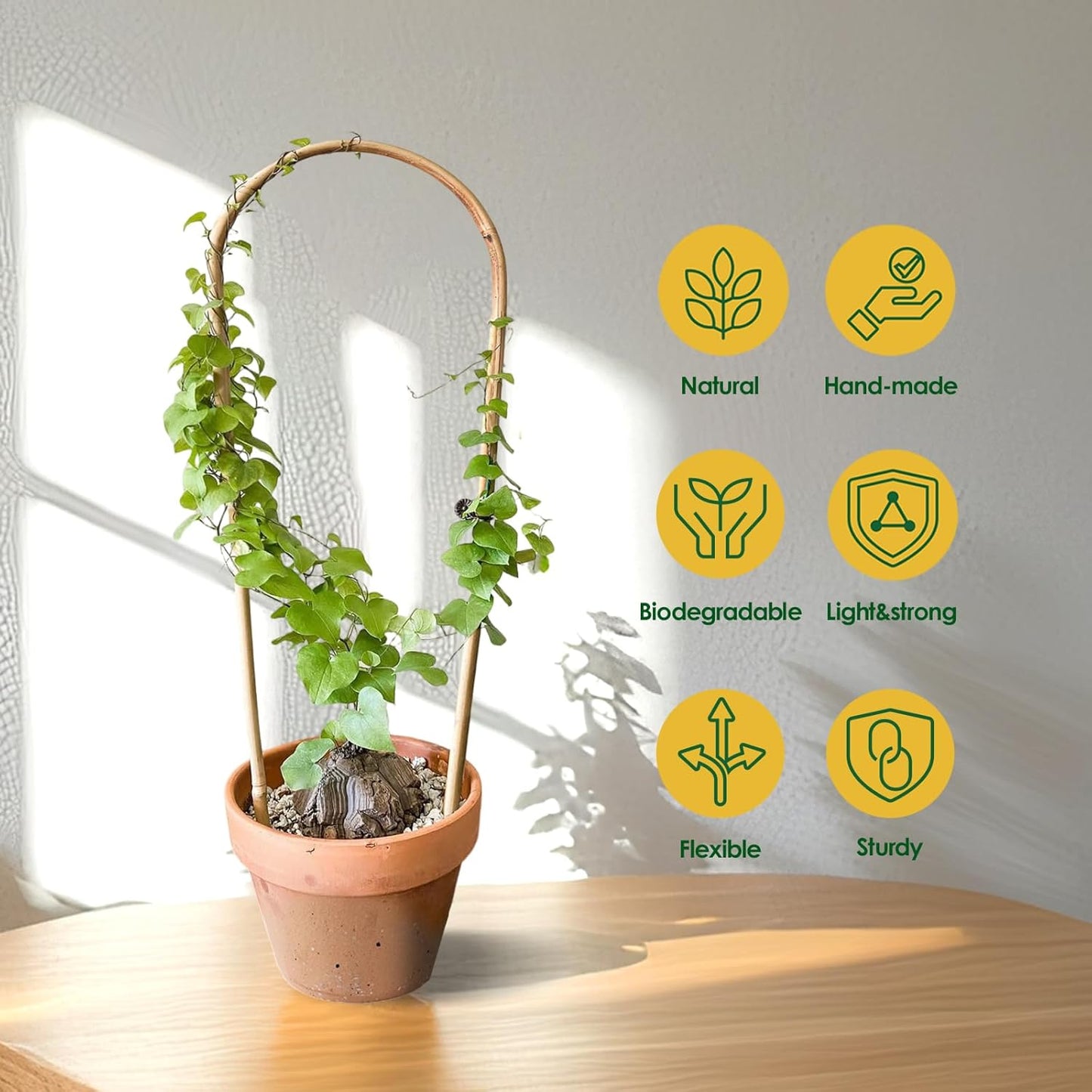 Indoor Plant Trellis for Climbing Plants 16in, 6 Pack Arch Bamboo Trellis for Potted Plants-VerdiqueGarden