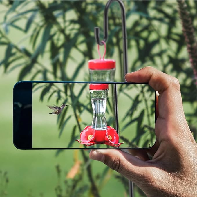 Bird Feeder Pole, 62 Inch & 5/8 Inch Diameter Stainless Steel Heavy Duty Shepherds Hooks for Outdoor to Hang Outdoor Lights with 5 Prongs Base, Rustproof for Garden Decor or Wedding Decors(Black)-VerdiqueGarden