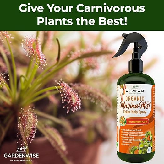100% Organic Marina Mist Carnivorous Plant Food | Liquid Kelp Foliar Spray for Plants - Kelp Fertilizer for Venus Flytraps, Sundew, Butterworts, Pitcher Plants 8 Oz-VerdiqueGarden