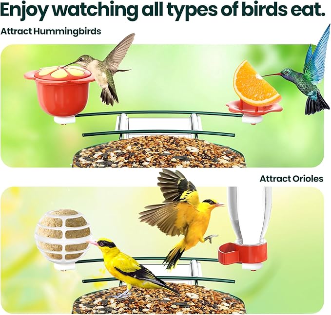 SOLIOM Solar Bird Feeder with Camera for Outdoors - AI Smart Birdhouse, 2K Live View & Instant Alerts, Squirrel Proof - Perfect Bird Watching Gift (Green)-VerdiqueGarden