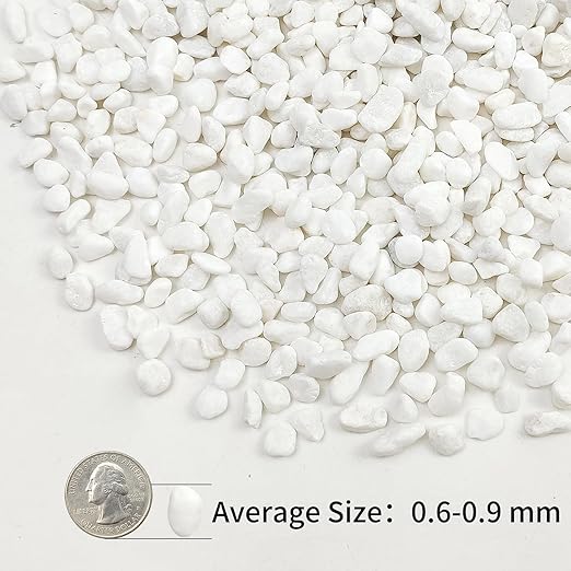 10lbs White Pebbles for Landscaping, 3/8inch Small Rocks for Succulent Cactus Planters, Natural Polished Pebbles, River Rocks for Plants, Vases, Garden-VerdiqueGarden