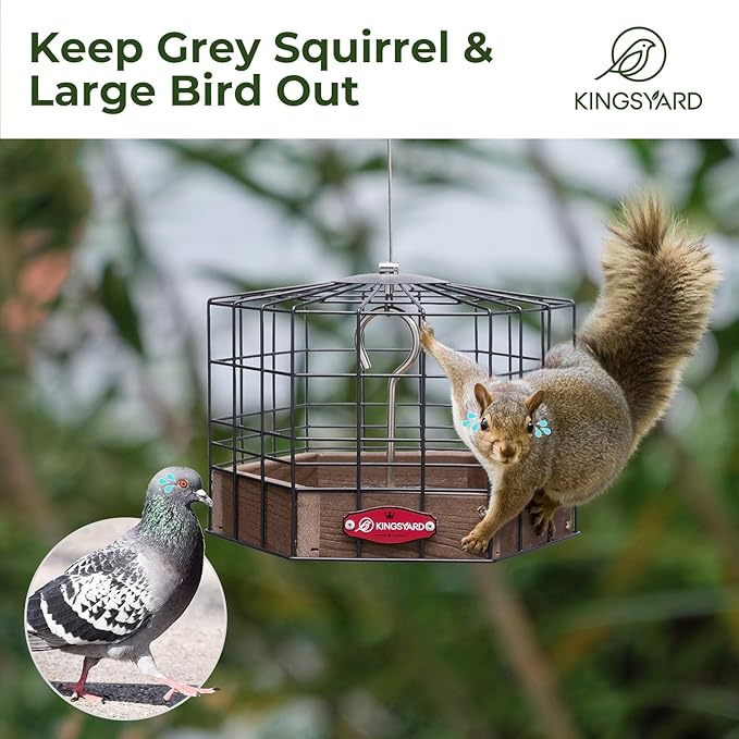 Kingsyard Squirrel Proof Platform Bird Feeders for Outdoor Hanging, Caged Bird Feeder for Small Wildbirds Finches, Recycled Plastic Feeding Platform with Metal Seed Tray, Brown-VerdiqueGarden