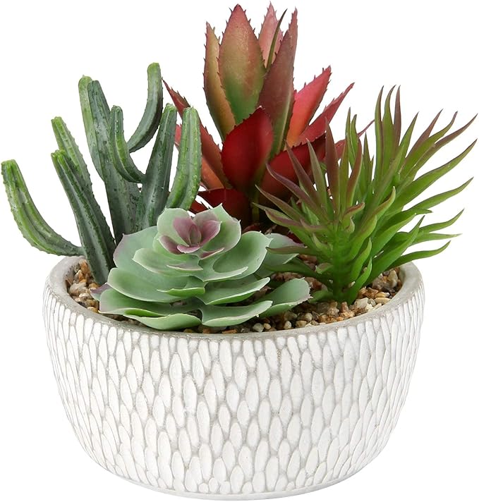 Briful Small Fake Plants Assorted Faux Succulents in Pots Realistic Succulents Plants Artificial with Cement Pots for Home Table Office Desk Bathroom Shelf Living Room Decor-VerdiqueGarden