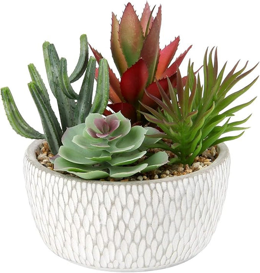 Briful Small Fake Plants Assorted Faux Succulents in Pots Realistic Succulents Plants Artificial with Cement Pots for Home Table Office Desk Bathroom Shelf Living Room Decor-VerdiqueGarden
