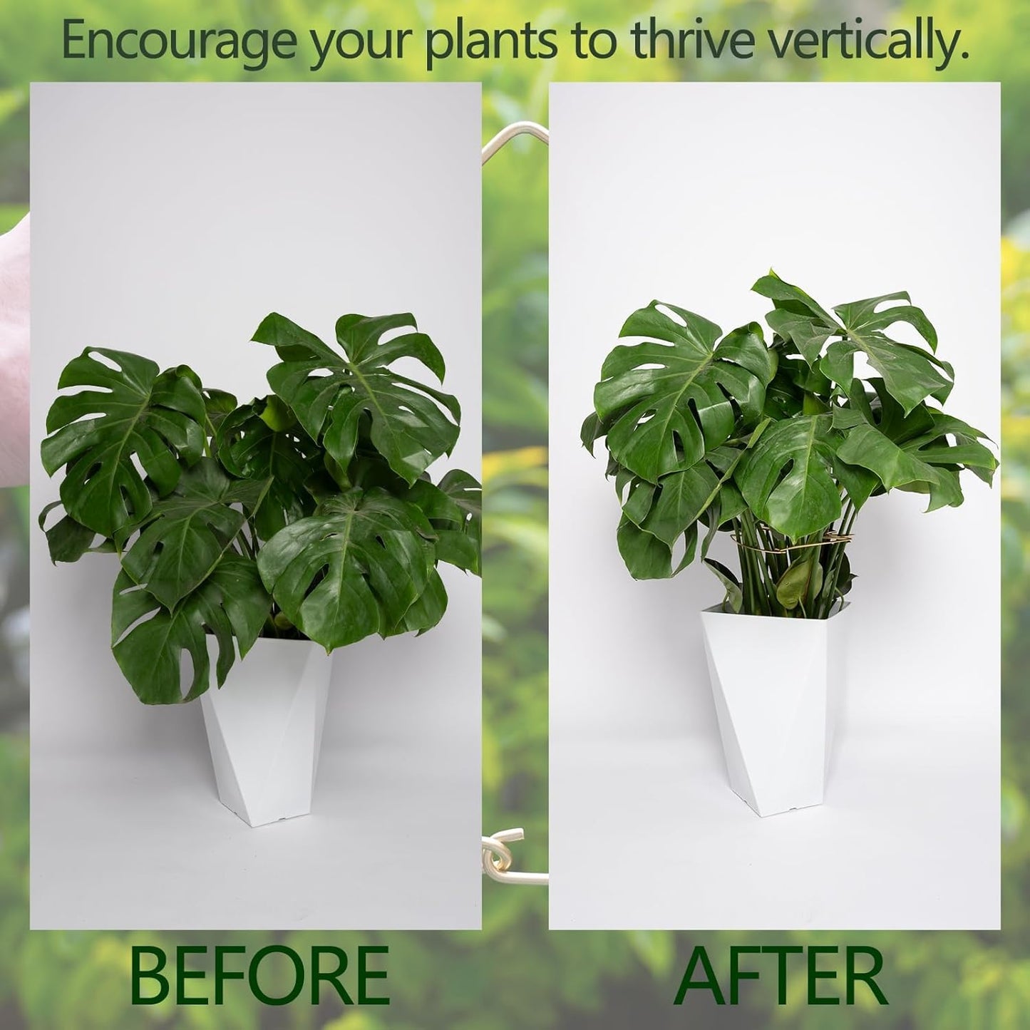 5PCS Monstera Plant Stem Support with Leaf Holders - Innovative Cactus Stake for Indoor Plants - Unique Plant Support Kit for Healthy Growth - Ideal for Gardening Enthusiasts-VerdiqueGarden