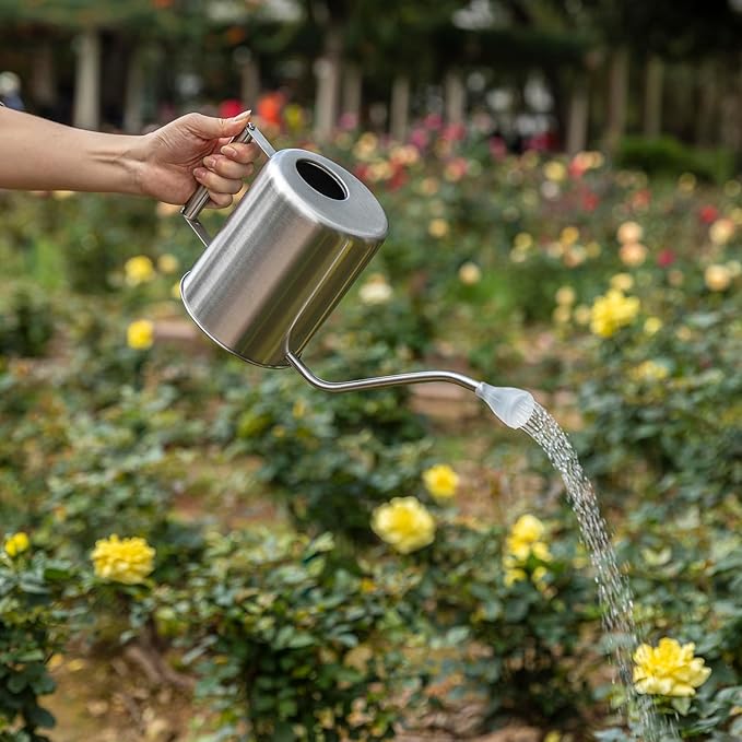 L&H Unico Watering Cans 62oz Plant Misters Steel Sprinkling Cans with 2Pcs Removable Spray Spout for Flowers-VerdiqueGarden