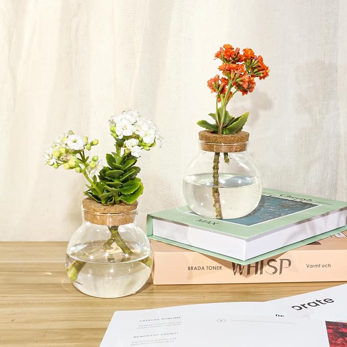 Plant Propagation Station,Hydroponic Terrarium Vase,Desktop Glass Planter Station,for Houses,Garden Decorations,ropagating Hydroponic Plants,Centerpiece Office,Home Garden Decor (9)-VerdiqueGarden