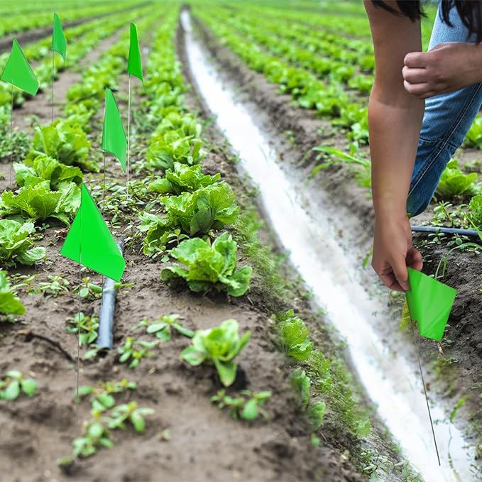 Zozen 50Pack Green Marking Flags, Writable/15x4x5 Inch, Yard Flags for Lawn & Irrigation & Landscape & Sprinkler & Survey & Dog Training.-VerdiqueGarden