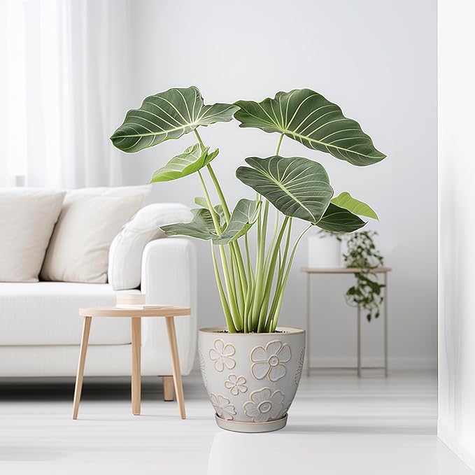 10 Inch Ceramic Planter Pot Large Plant Pot for Indoor Plants Outdoor Round Flower Pot with Drainage Hole and Saucer for Home Garden Decor White-VerdiqueGarden