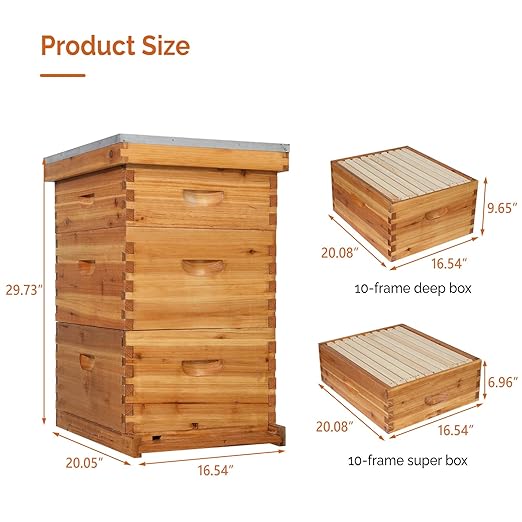 VINGLI 10-Frame Bee Hive, Wax Coated Beehive Starter Kit with Frames & Beeswax Coated Foundation Sheets (3 Layer)-VerdiqueGarden