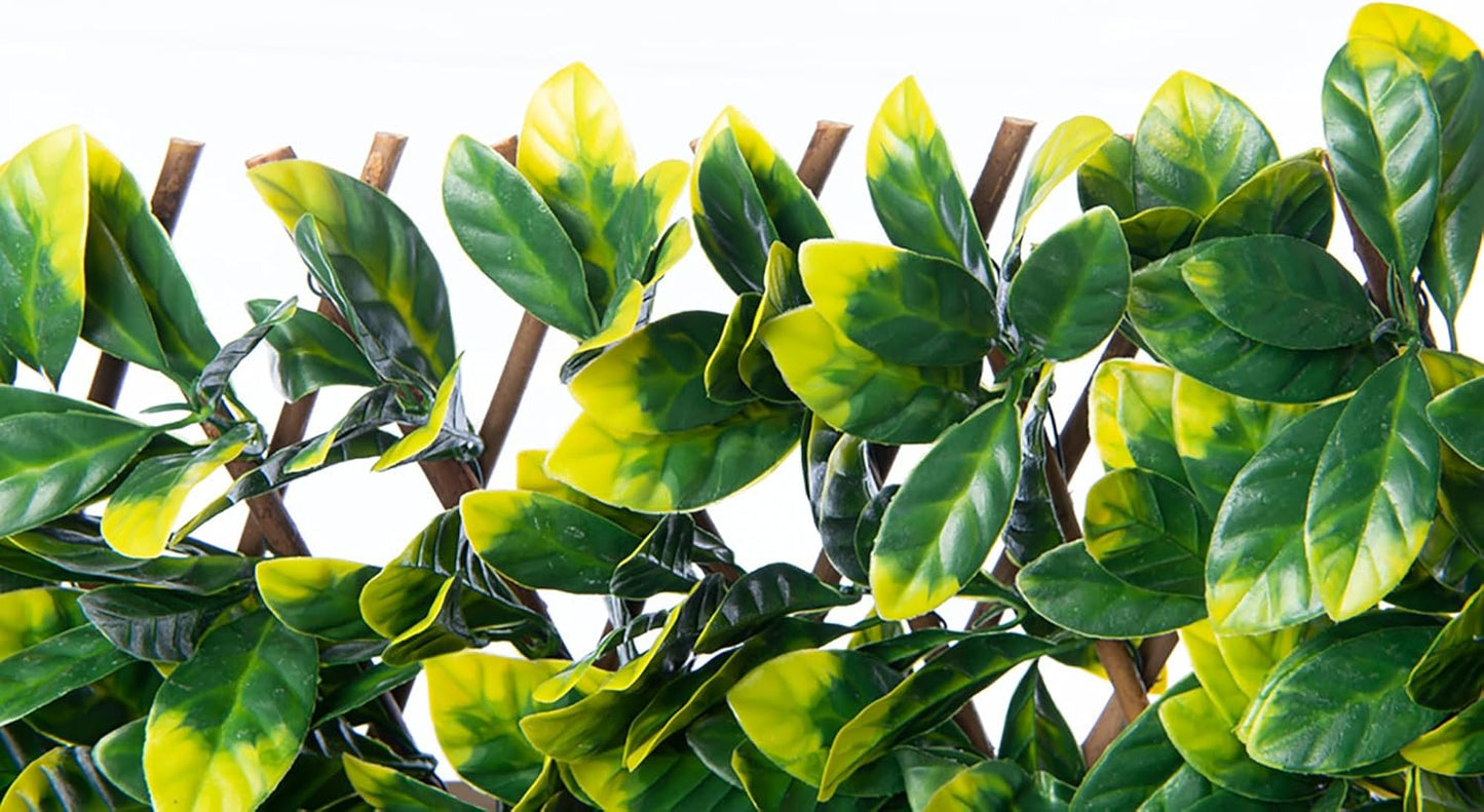 Expandable Willow Trellis - Outdoor Privacy Screen - Sturdy and Flexible - Realistic Look - 40 in x 80 in - Laurel Leaves-VerdiqueGarden