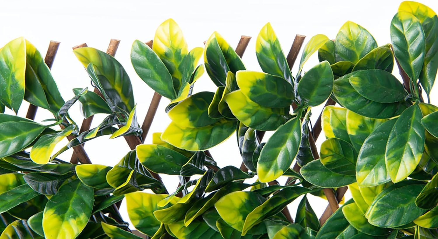 Expandable Willow Trellis - Outdoor Privacy Screen - Sturdy and Flexible - Realistic Look - 40 in x 80 in - Laurel Leaves-VerdiqueGarden